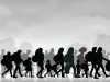 Migration
